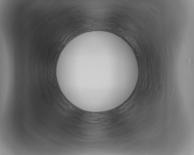 X0000110980384200906191055