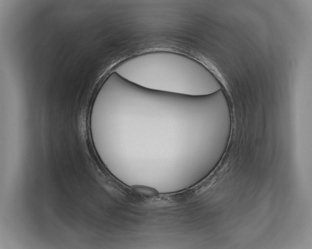 X0000110980386200906191054