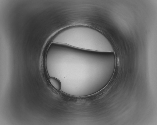 X0000110980388200906191054