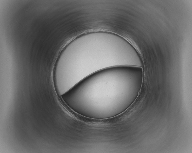 X0000110980389200906191054