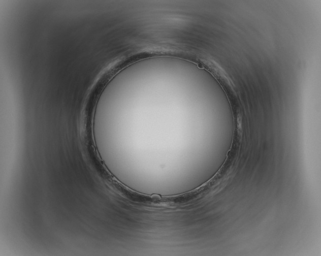 X0000110980396200906191054