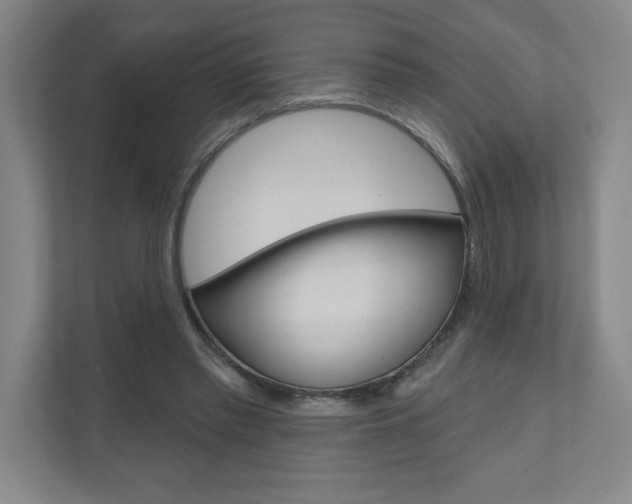 X0000110980397200906191054