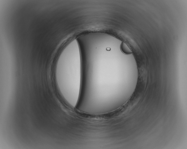 X0000110980400200906191054