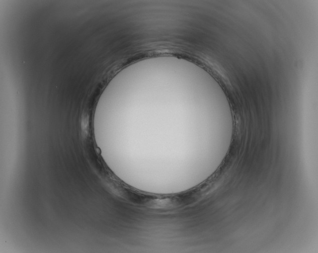 X0000110980406200906191054