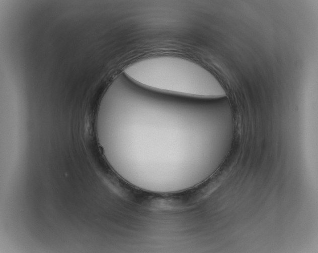 X0000110980408200906191054