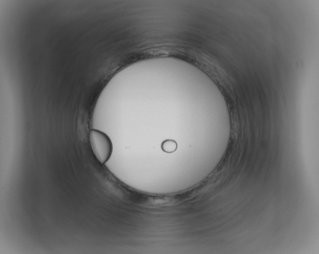 X0000110980414200906191054