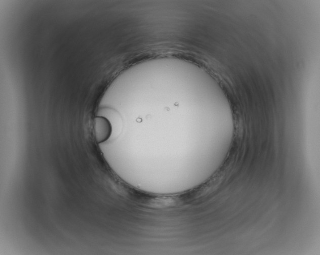 X0000110980418200906191054