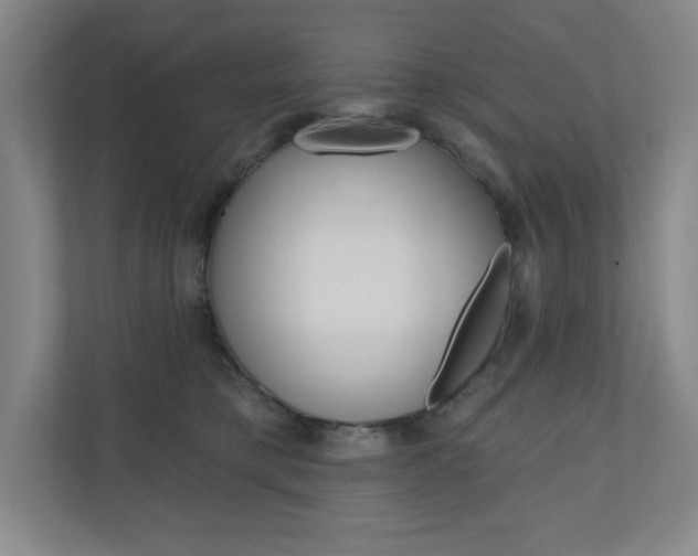 X0000110980421200906191054