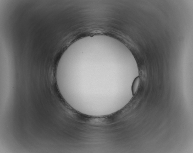 X0000110980422200906191054