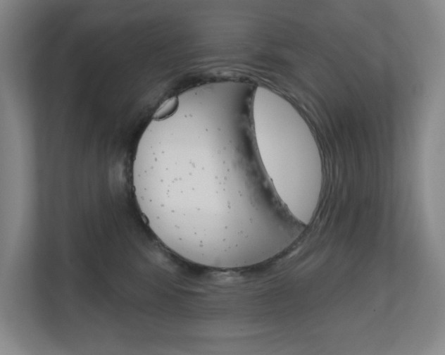 X0000110980424200906191054