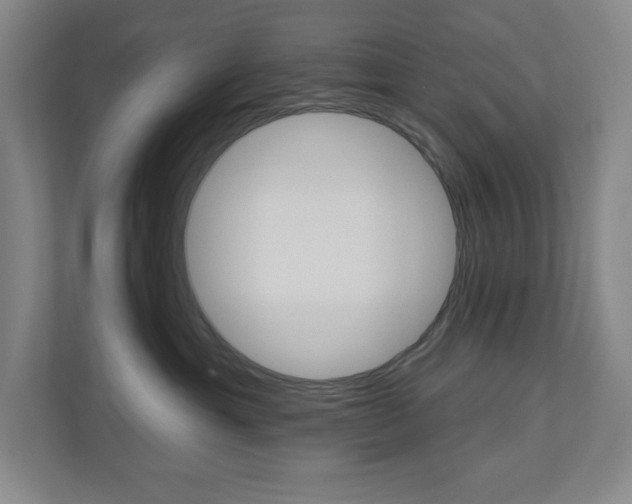 X0000110980429200906191054