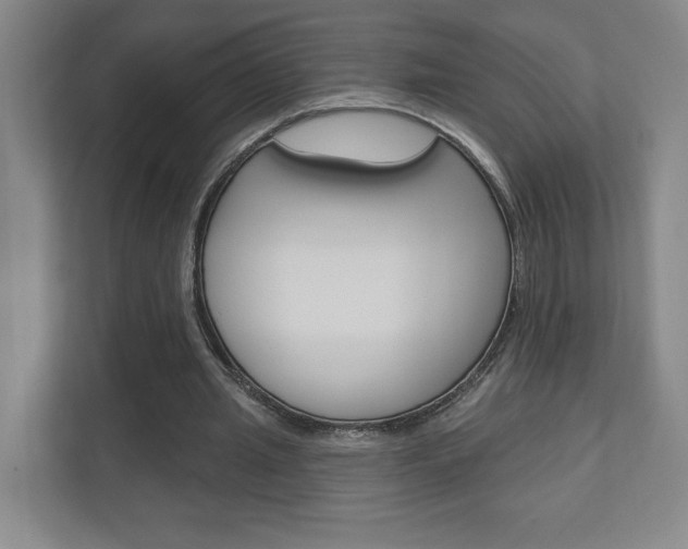 X0000110980437200906191053