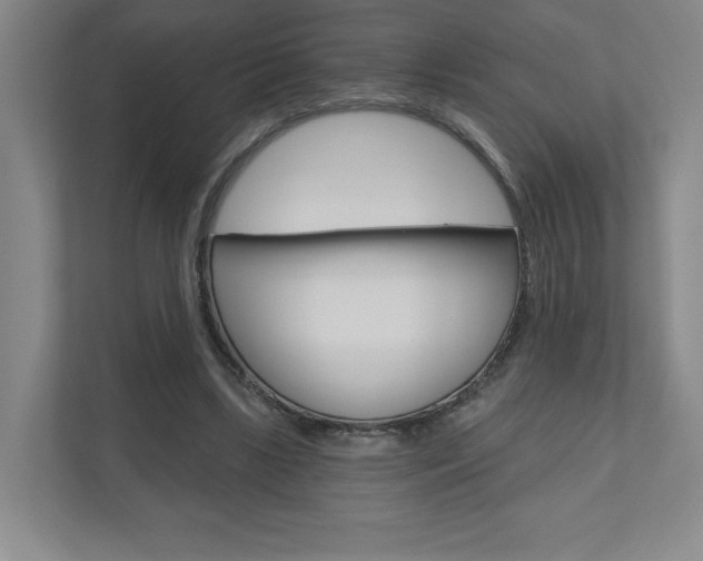 X0000110980443200906191053