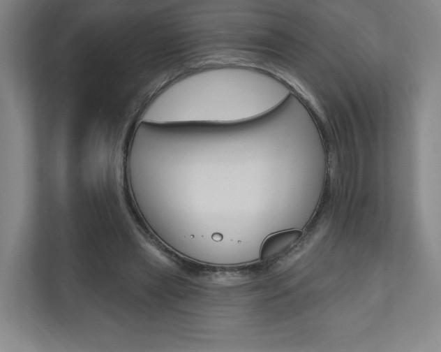 X0000110980445200906191053