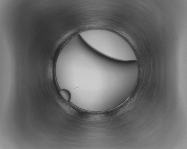 X0000110980446200906191053