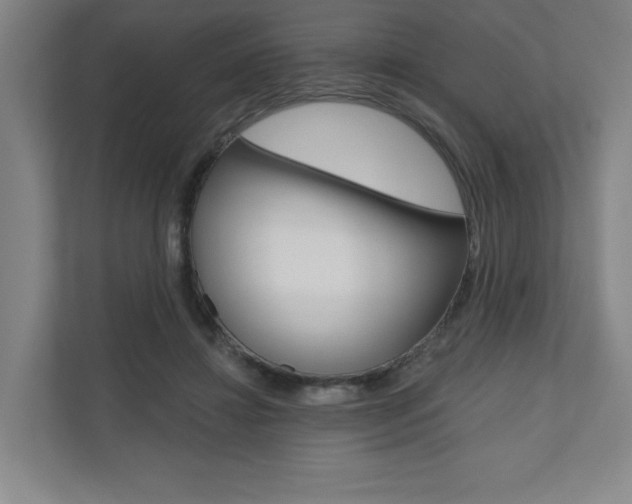 X0000110980452200906191053