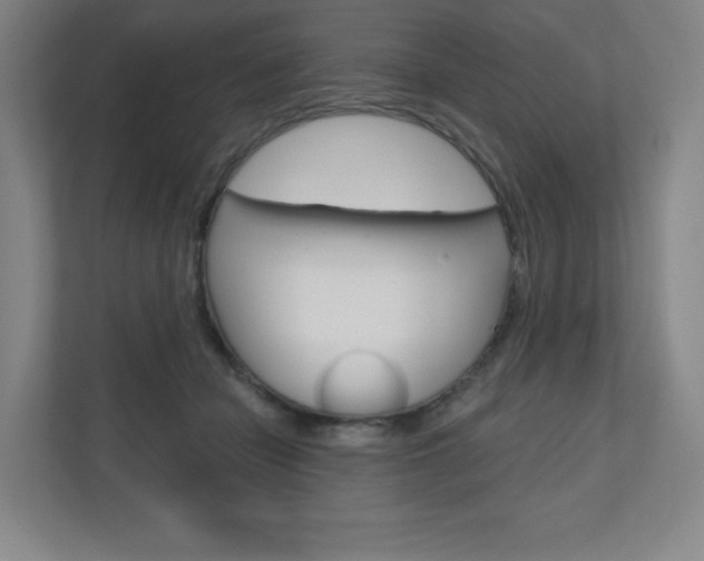 X0000110980462200906191054