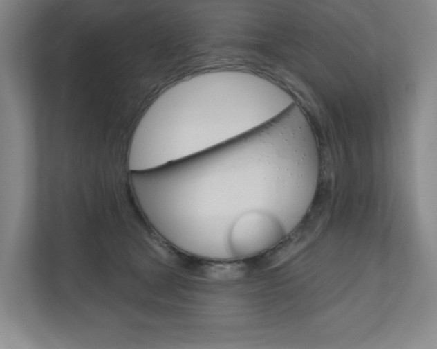 X0000110980465200906191054