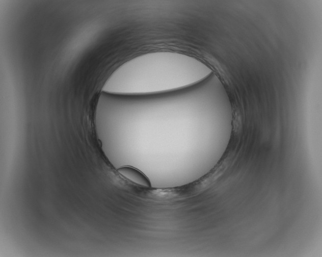 X0000110980477200906191054