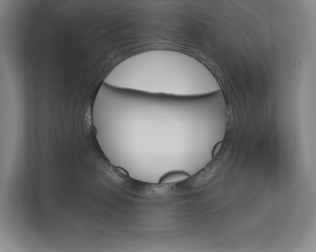 X0000110980479200906191054