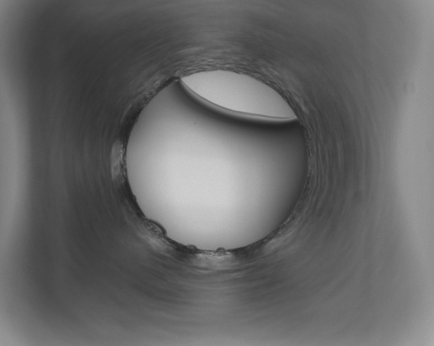 X0000110980480200906191054