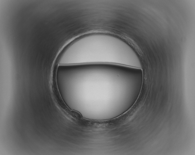 X0000110980484200906191053