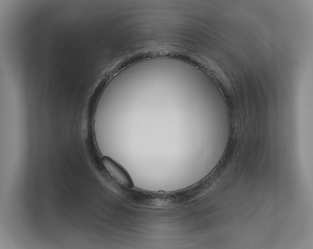 X0000110980496200906191053