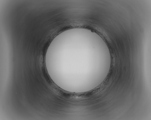 X0000110980498200906191053