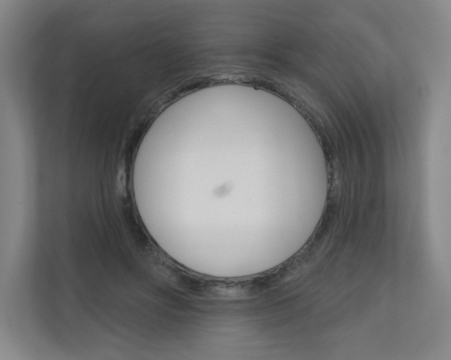 X0000110980502200906191053