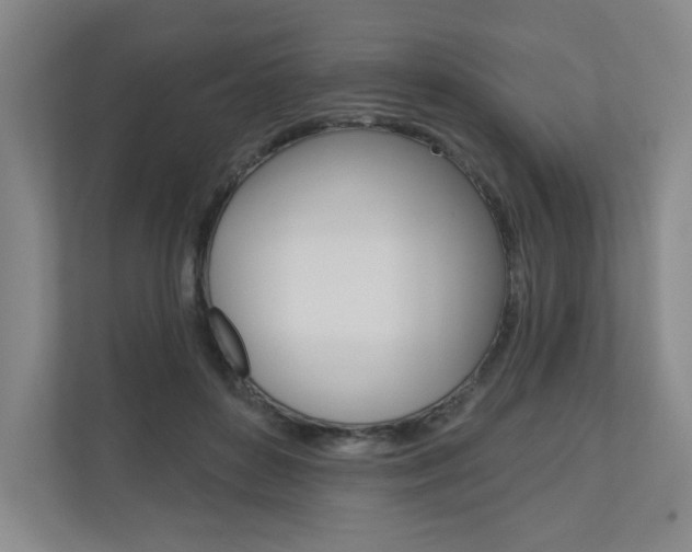 X0000110980504200906191053