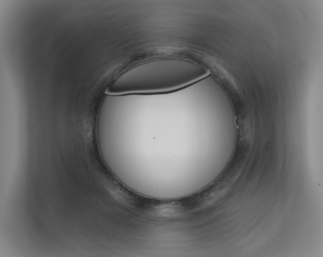 X0000110980505200906191053