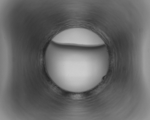 X0000110980513200906191053