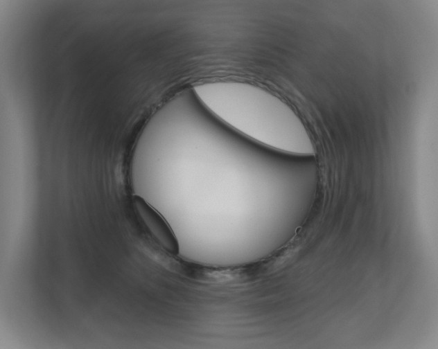 X0000110980516200906191053