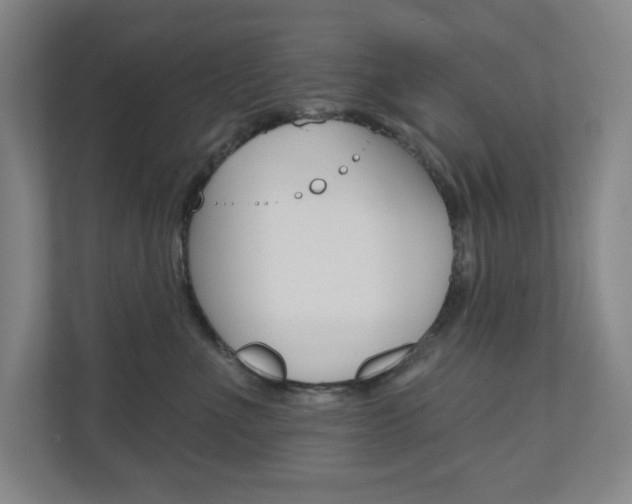 X0000110980523200906191053