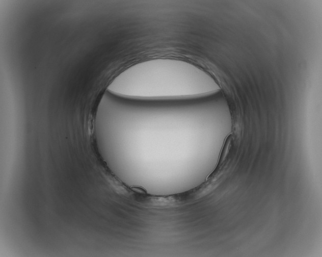 X0000110980525200906191053