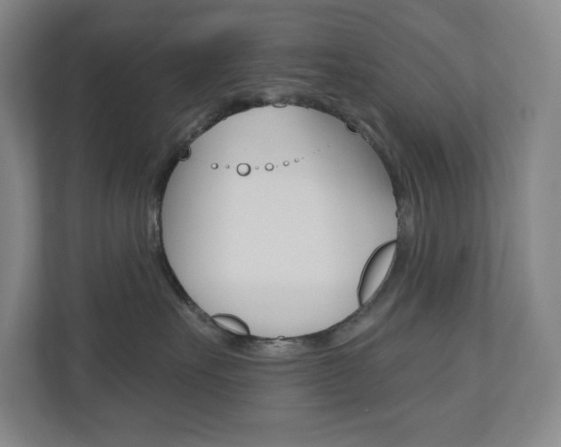X0000110980527200906191053