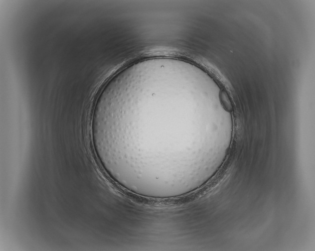 X0000110980529200906191052