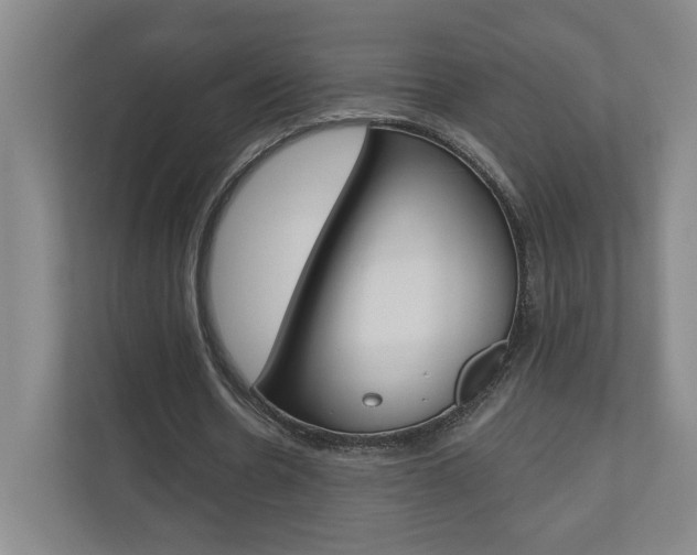 X0000110980530200906191052