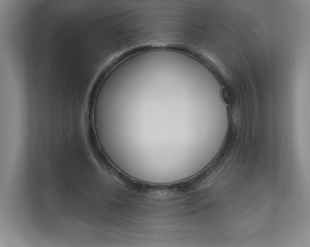 X0000110980540200906191052