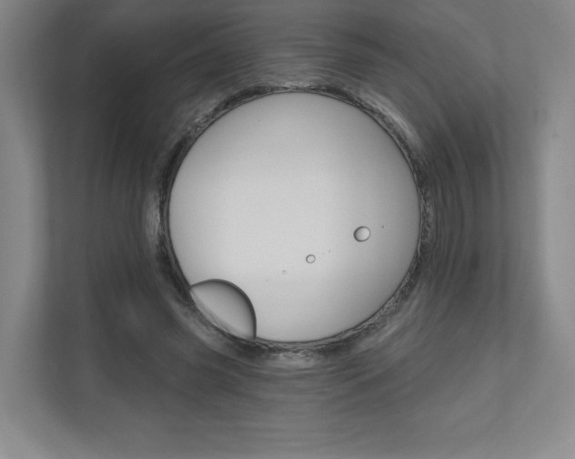 X0000110980541200906191052