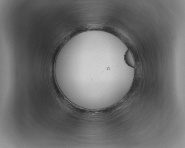 X0000110980550200906191052