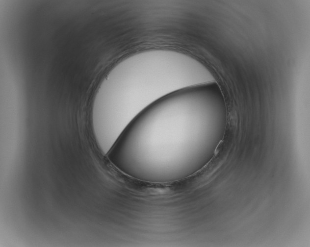 X0000110980552200906191052