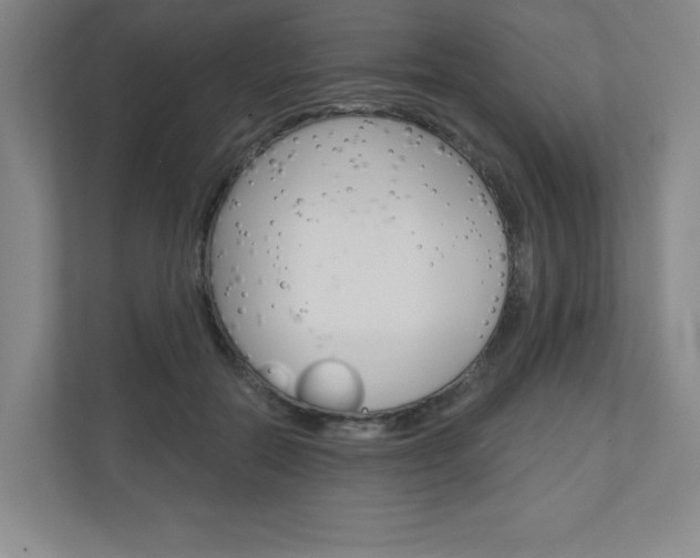 X0000110980554200906191052