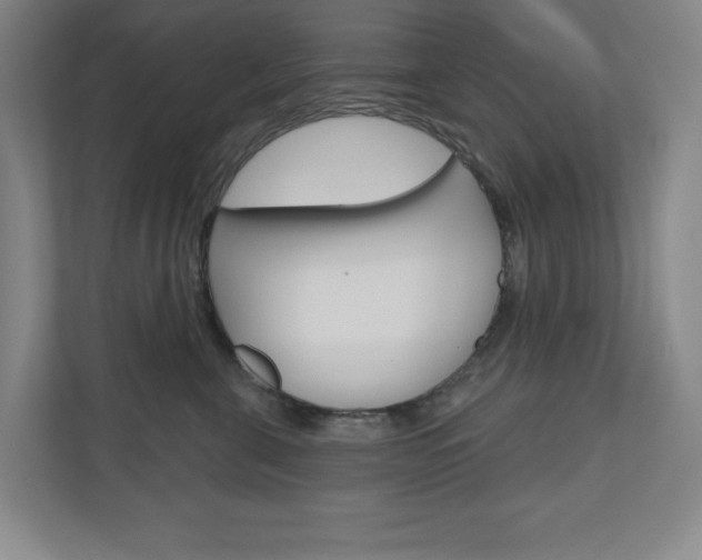 X0000110980571200906191053