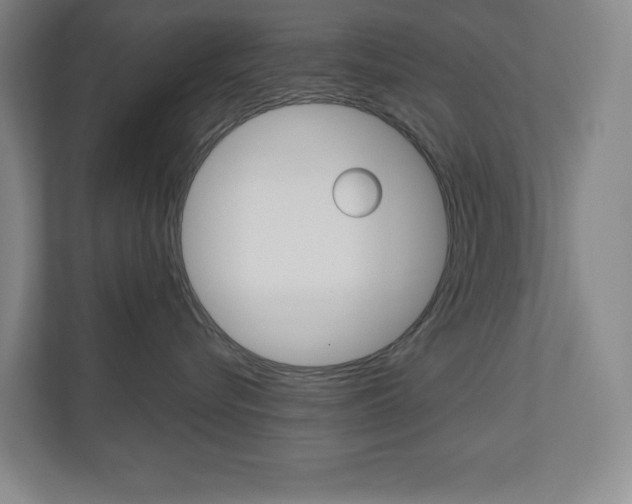 X0000110980576200906191053