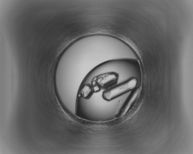 X0000110980577200906191052