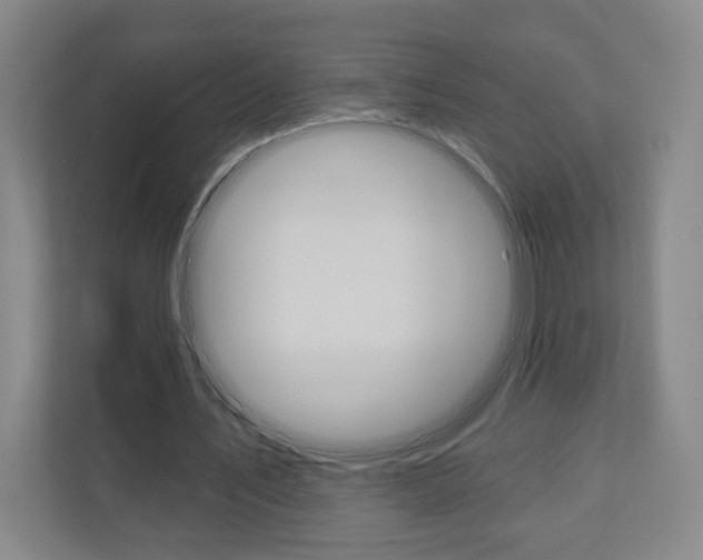 X0000110980579200906191052