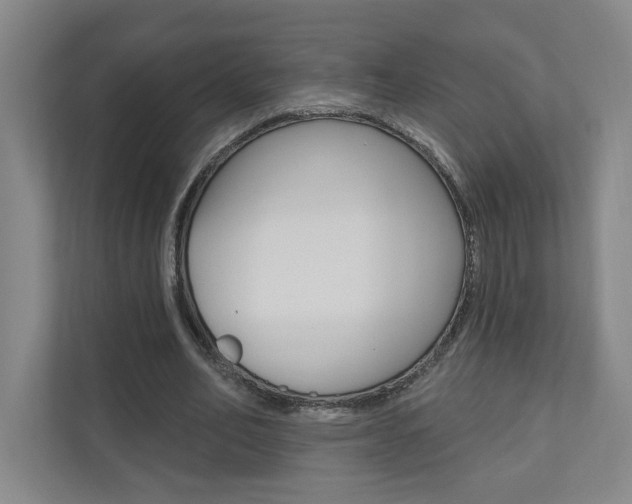 X0000110980582200906191052