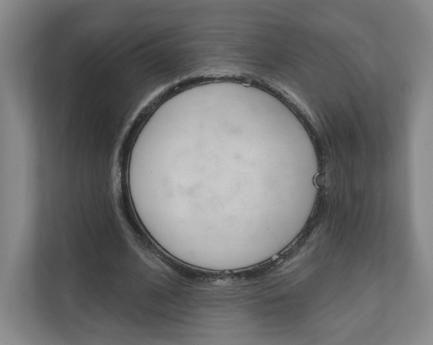 X0000110980584200906191052