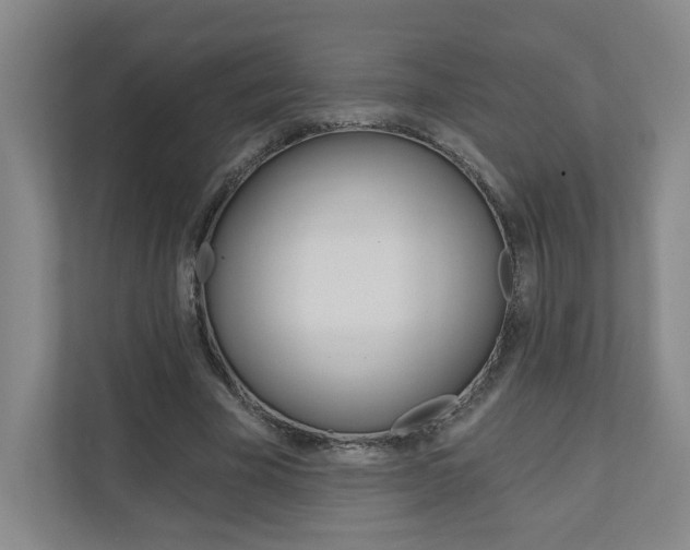 X0000110980585200906191052